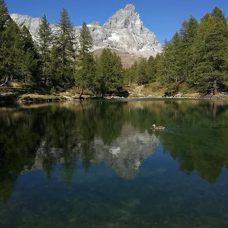 Daire Casa Brunello *